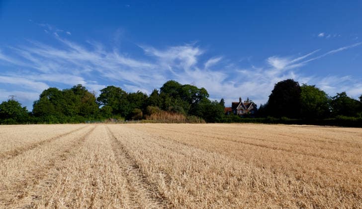 Parts of the UK have been without measurable rainfall for up to 36 consecutive days during the current dry spell. Dried fields after the prolonged hot spell. The Met Office has placed eight major regions including East Anglia, Devon, Cornwall, and the West Midlands under prolonged dry weather status, while areas of Wales have entered official drought conditions., Credit:Geoffrey Swaine Geoff Swaine - B4563 Avalon UK, Oxfordshire, Dunsden Green  Copyright: xGeoffreyxSwainex xGeoffxSwainex-xB4563x xAvalonx 1118553615
