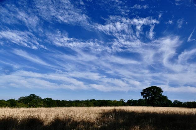 Parts of the UK have been without measurable rainfall for up to 36 consecutive days during the current dry spell. Dried fields after the prolonged hot spell. The Met Office has placed eight major regions including East Anglia, Devon, Cornwall, and the West Midlands under prolonged dry weather status, while areas of Wales have entered official drought conditions., Credit:Geoffrey Swaine Geoff Swaine - B4563 Avalon UK, Oxfordshire, Dunsden Green  Copyright: xGeoffreyxSwainex xGeoffxSwainex-xB4563x xAvalonx 1118553662