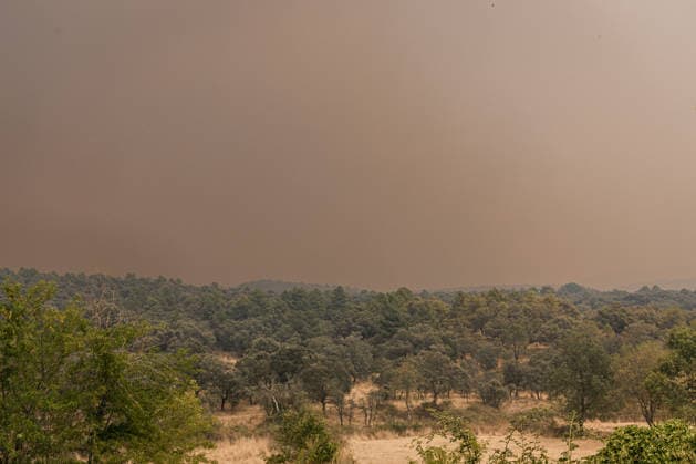 The Burgohondo wildfire forces the evacuation of six towns in the Tiétar Valley as the flames advance. Smoke fills the sky due to the Burgohondo wildfire on July 25, 2026, in Casavieja, Ávila, Castile and León, Spain. The Burgohondo forest fire in Ávila remains active, and its progression has forced authorities to expand protective measures for the population. Emergency services have ordered the preventive evacuation of six towns in the Tiétar Valley as the fire advances and due to the risk posed by the proximity of the flames and smoke. PiedRalaves, La Adrada, Casillas, Sotillo, Santa María del Tiétar, and Navahondilla July 25, 2026 FOREST FIRE Carlos Lujá Casavieja, Ávila, Castile and Leo Casavieja, Ávila, Castile and Leo Spain  Copyright: xCarlosxLujanx 7687417