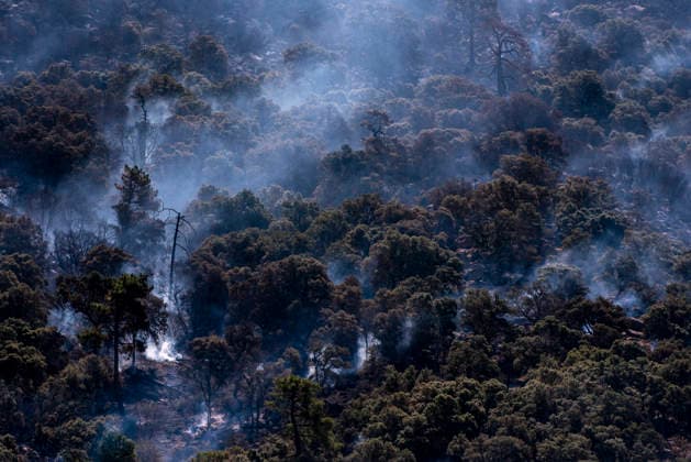 NASA will assess the damage caused by the fires at its complex in Robledo de Chavela, Madrid, once it is safe to do so. Burning trees, July 25, 2026, in Robledo de Chavela, Madrid, Spain. NASA has stated that it will assess potential damage to the Madrid Deep Space Communications Complex (MDSCC), in Robledo de Chavela, Madrid, once it is safe to do so, after the wildfire affecting the area swept through the facilities, which had been evacuated as a precaution. JULY 25, 2026 NASA FIRE ROBLEDO SMOKE NATURE EMbers PAVESA HILL POLLUTION ALMENARA CERRO ROBLEDILLO HOTSPOTS Robledo de Chavela, Madrid Robledo de Chavela, Madrid, Spain  Copyright: xGabrixSolerax 7687436