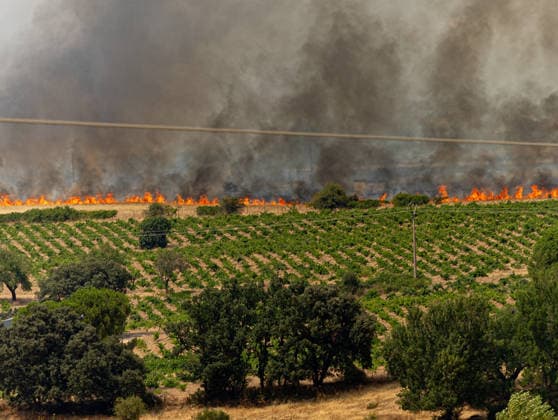 The fire is spreading slowly at night and has lost some intensity, but winds are expected to pick up this morning. View of the wildfire, July 25, 2026, in San Martín de Valdeiglesias, Madrid, Spain. Overnight, the change in weather conditions—with less wind, higher humidity, and cooler temperatures—has helped, although the fire remains active. The authorities’ priority is to prevent the fire from reaching El Escorial or merging with the one affecting the Burgohondo area, in Ávila. JULY 25, 2026 FIRE HELICOPTER FIREFIGHTERS SMOKE FLAMES San Martín de Valdeiglesias, Madrid, Spain San Martín de Valdeiglesias, Madrid, Spain  Copyright: xEduardoxParrax 7687496