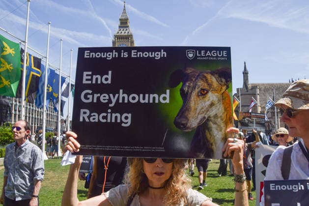 July 25, 2026, London, England, United Kingdom: Protesters gather in Parliament Square during a march calling for an end to dog racing. The march dubbed Century of Suffering marks 100 years of greyhound racing in the UK. London United Kingdom - ZUMAv130 20260725_zip_v130_075 Copyright: xVukxValcicx