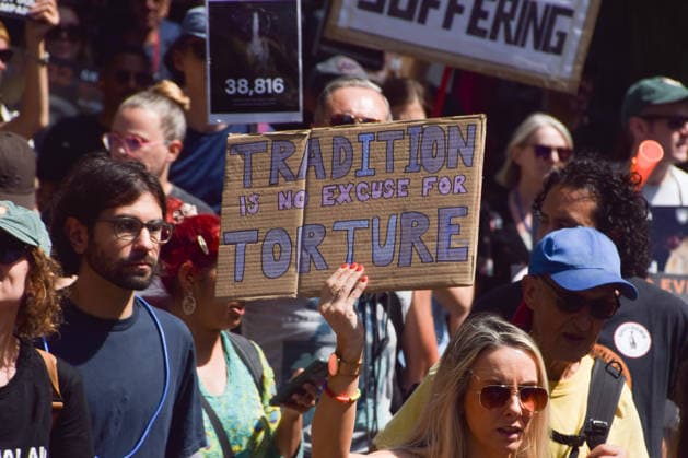 July 25, 2026, London, England, United Kingdom: Protesters pass through Central London during a march calling for an end to dog racing. The march dubbed Century of Suffering marks 100 years of greyhound racing in the UK. London United Kingdom - ZUMAv130 20260725_zip_v130_076 Copyright: xVukxValcicx