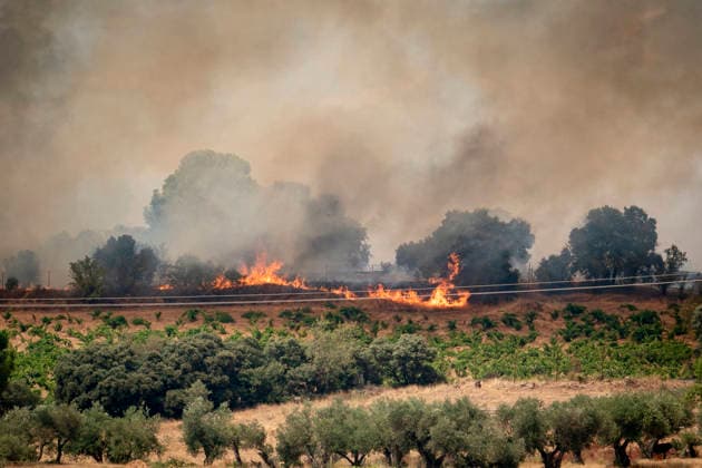 The fire is spreading slowly at night and has lost some intensity, but winds are expected to pick up this morning. View of the wildfire, July 25, 2026, in San Martín de Valdeiglesias, Madrid, Spain. Overnight, the change in weather conditions—with less wind, higher humidity, and cooler temperatures—has helped, although the fire remains active. The authorities’ priority is to prevent the fire from reaching El Escorial or merging with the one affecting the Burgohondo area, in Ávila. JULY 25, 2026 FIRE HELICOPTER FIREFIGHTERS SMOKE FLAME A Pé San Martín de Valdeiglesias, Madrid, Spain San Martín de Valdeiglesias, Madrid, Spain  Copyright: xA.xPÃ rezxMecax 7687638