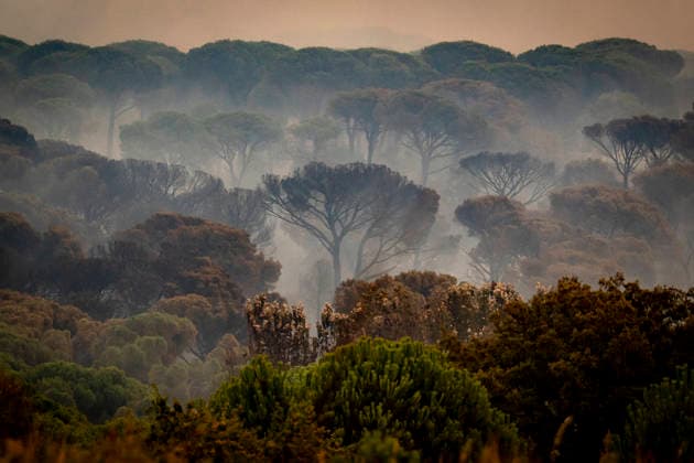 The fire is spreading slowly at night and has lost some intensity, but winds are expected to pick up this morning. View of the wildfire, July 25, 2026, in San Martín de Valdeiglesias, Madrid, Spain. Overnight, the change in weather conditions—with less wind, higher humidity, and cooler temperatures—has helped, although the fire remains active. The authorities’ priority is to prevent the fire from reaching El Escorial or merging with the one affecting the Burgohondo area, in Ávila. JULY 25, 2026 FIRE HELICOPTER FIREFIGHTERS SMOKE FLAME A Pé San Martín de Valdeiglesias, Madrid, Spain San Martín de Valdeiglesias, Madrid, Spain  Copyright: xA.xPÃ rezxMecax 7687642