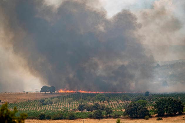 The fire is spreading slowly at night and has lost some intensity, but winds are expected to pick up this morning. View of the wildfire, July 25, 2026, in San Martín de Valdeiglesias, Madrid, Spain. Overnight, the change in weather conditions—with less wind, higher humidity, and cooler temperatures—has helped, although the fire remains active. The authorities’ priority is to prevent the fire from reaching El Escorial or merging with the one affecting the Burgohondo area, in Ávila. JULY 25, 2026 FIRE HELICOPTER FIREFIGHTERS SMOKE FLAME A Pé San Martín de Valdeiglesias, Madrid, Spain San Martín de Valdeiglesias, Madrid, Spain  Copyright: xA.xPÃ rezxMecax 7687646