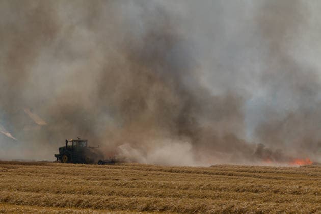 25.07.2026 Feldbrand bei Wadendorf Zörbig Anhalt-Bitterfeld Sachen-Anhalt Erster Feldbrand zwischen Wadendorf und Salzfurtkapelle. Ein Traktor versucht eine Schneise zwischen dem Brand und dem restlichen Feld zu ziehen. Zörbig Sachsen-Anhalt Deutschland *** July 25, 2026 Field fire near Wadendorf, Zörbig, Anhalt-Bitterfeld, Saxony-Anhalt First field fire between Wadendorf and Salzfurtkapelle A tractor attempts to create a firebreak between the blaze and the rest of the field Zörbig, Saxony-Anhalt, Germany