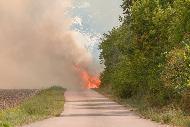 25.07.2026 Feldbrand bei Wadendorf Zörbig Anhalt-Bitterfeld Sachen-Anhalt Zweiter Feldbrand zwischen Wadendorf und Löberitz. Das Feuer greift auf einen Feldweg über. Zörbig Sachsen-Anhalt Deutschland *** July 25, 2026 Field fire near Wadendorf, Zörbig, Anhalt-Bitterfeld, Saxony-Anhalt Second field fire between Wadendorf and Löberitz The fire spreads to a dirt road near Zörbig, Saxony-Anhalt, Germany