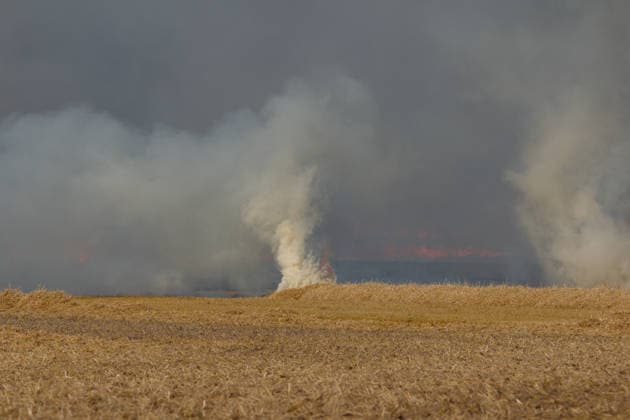 25.07.2026 Feldbrand bei Wadendorf Zörbig Anhalt-Bitterfeld Sachen-Anhalt Erster Feldbrand zwischen Wadendorf und Salzfurtkapelle. Das Feld steht in Flammen. Zörbig Sachsen-Anhalt Deutschland *** July 25, 2026 Field Fire Near Wadendorf, Zörbig, Anhalt-Bitterfeld, Saxony-Anhalt First Field Fire Between Wadendorf and Salzfurtkapelle The Field Is Ablaze Zörbig, Saxony-Anhalt, Germany