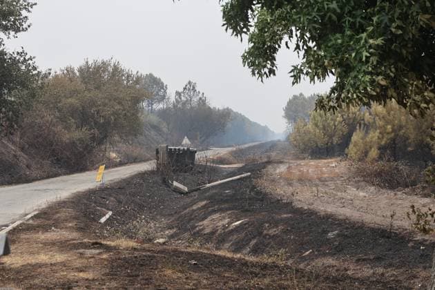 RECORD DATE NOT STATED Fires in Gironde, Lège PHOTOPQR SUD OUEST Photo by Fabien Cottereau Lège Fires in Gironde, Sainte-Hélène, Lacanau On the D106 road leading to Lège, the landscape is apocalyptic; numerous homes have been ravaged by the fire. Fires in southwestern France on July 25, 2026. On the D106 road leading to Lège, the landscape is apocalyptic; many homes have been devastated by the fire. Local Caption Lège, Gironde, France  Copyright: xPHOTOPQR SUDxOUEST MAXPPPxPhotoxFabienxCottereaux 20260725SDO1229 20260725SDO1229