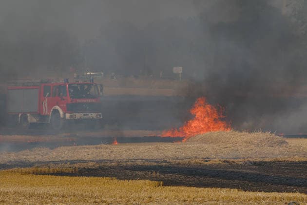 25.07.2026 Feldbrand bei Wadendorf Zörbig Anhalt-Bitterfeld Sachen-Anhalt Erster Feldbrand zwischen Wadendorf und Salzfurtkapelle. Das Feld steht in Flammen. Ein Feuerwehrfahrzeug nähert sich im Hintergrund dem Brandort. Zörbig Sachsen-Anhalt Deutschland *** July 25, 2026 Field Fire Near Wadendorf, Zörbig, Anhalt-Bitterfeld, Saxony-Anhalt First Field Fire Between Wadendorf and Salzfurtkapelle The field is ablaze A fire truck approaches the scene of the fire in the background, Zörbig, Saxony-Anhalt, Germany