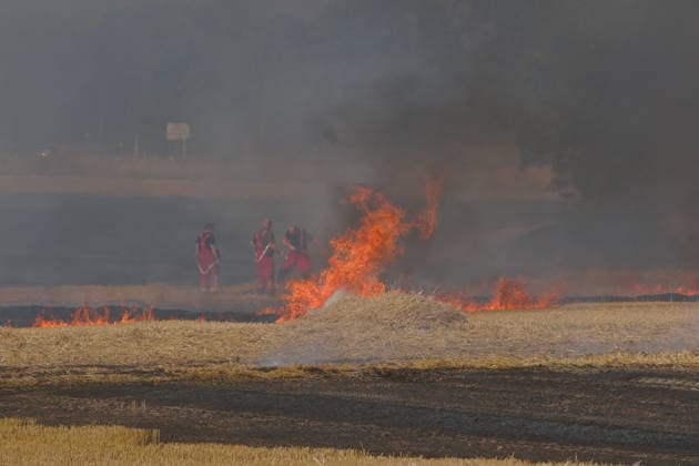 25.07.2026 Feldbrand bei Wadendorf Zörbig Anhalt-Bitterfeld Sachen-Anhalt Erster Feldbrand zwischen Wadendorf und Salzfurtkapelle. Das Feld steht in Flammen. Feuerwehrmänner löschen im Hintergrund. Zörbig Sachsen-Anhalt Deutschland *** July 25, 2026 Field fire near Wadendorf, Zörbig, Anhalt-Bitterfeld, Saxony-Anhalt First field fire between Wadendorf and Salzfurtkapelle The field is ablaze Firefighters are extinguishing the blaze in the background Zörbig, Saxony-Anhalt, Germany