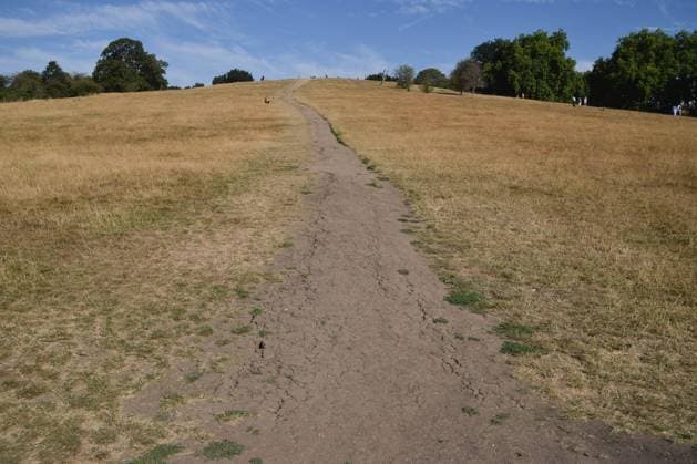 July 25, 2026, London, United Kingdom: A view of a very dry Primrose Hill..Many areas have experienced extremely dry conditions following record-breaking heatwaves in the UK. London United Kingdom - ZUMAs197 20260725_aaa_s197_137 Copyright: xVukxValcicx