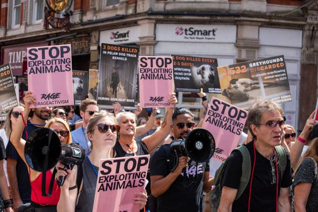 Demonstration against Greyhound race in London, UK - 25 Jul 2026 Animal rights activists hold placards during a protest march. Animal rights activists gathered outside of the Greyhound Board of Great Britain (GBGB) headquarters near the St Paul s Cathedral. The Greyhound Board of Great Britain (GBGB) serves as the governing and regulatory body for licensed greyhound racing in England because it was banned previously in Wales and Scotland. The protesters demand from the UK Government to ban the Greyhound racing immediately because 161 dog died during and after the race, just in 2025. London United Kingdom Copyright: xKrisztianxElekx xSOPAxImagesx SSS_20260725_GREYHOUND_DEMO_0011005006