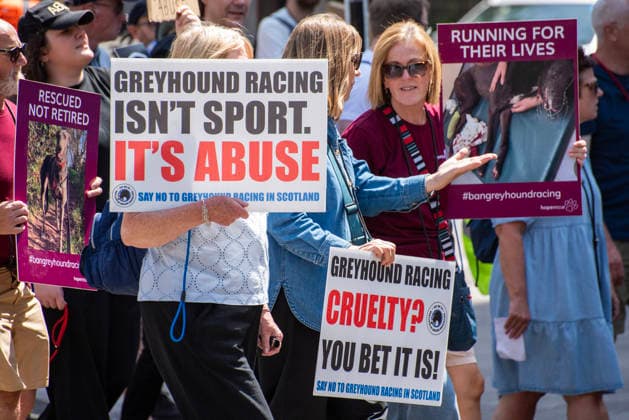 Demonstration against Greyhound race in London, UK - 25 Jul 2026 Animal rights activists hold placards during a protest march. Animal rights activists gathered outside of the Greyhound Board of Great Britain (GBGB) headquarters near the St Paul s Cathedral. The Greyhound Board of Great Britain (GBGB) serves as the governing and regulatory body for licensed greyhound racing in England because it was banned previously in Wales and Scotland. The protesters demand from the UK Government to ban the Greyhound racing immediately because 161 dog died during and after the race, just in 2025. London United Kingdom Copyright: xKrisztianxElekx xSOPAxImagesx SSS_20260725_GREYHOUND_DEMO_0011005010
