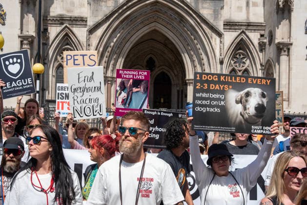 July 25, 2026, London, United Kingdom: Animal rights activists hold placards during a protest march outside of the Royal Courts of Justice. Animal rights activists gathered outside of the Greyhound Board of Great Britain (GBGB) headquarters near the St Paul s Cathedral. The Greyhound Board of Great Britain (GBGB) serves as the governing and regulatory body for licensed greyhound racing in England because it was banned previously in Wales and Scotland. The protesters demand from the UK Government to ban the Greyhound racing immediately because 161 dog died during and after the race, just in 2025. London United Kingdom - ZUMAs197 20260725_aaa_s197_384 Copyright: xKrisztianxElekx
