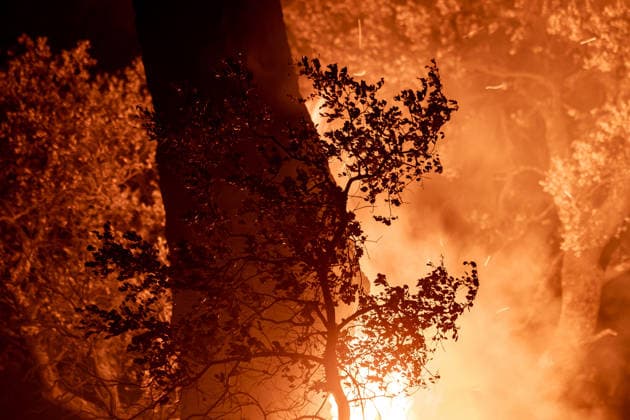 Evacuation underway as wildfires threaten towns in Spain LA ADRADA, AVILA, SPAIN – JULY 26: Flames engulf trees as a wildfire burns during overnight firefighting operations in La Adrada, in Spain s Avila province, on July 26, 2026. Fire crews continued battling the blaze through the night as it spread across forested areas, threatening nearby communities. Diego Radames Anadolu Avila Spain. Editorial use only. Please get in touch for any other usage.  Copyright: x2026xAnadoluxDiegoxRadamesx