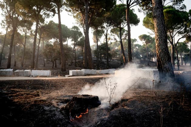 The wildfire in the western mountains of Madrid reaches Cadalso de los Vidrios Effects of the wildfire in the western mountains of Madrid, on the La Granjilla estate, on July 26, 2026, in Cadalso de los Vidrios, Madrid, Spain. The fire forced the evacuation of Cadalso de los Vidrios and Rozas de Puerto Real on Saturday, July 25. JULY 26, 2026 FOREST FIRE IN Cadalso de los Vidrios, Madrid. Cadalso de los Vidrios, Madrid, Spain  Copyright: xA.xPÃ rezxMecax 7688411