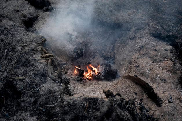 The wildfire in the western mountains of Madrid reaches Cadalso de los Vidrios Effects of the wildfire in the western mountains of Madrid, on the La Granjilla estate, on July 26, 2026, in Cadalso de los Vidrios, Madrid, Spain. The fire forced the evacuation of Cadalso de los Vidrios and Rozas de Puerto Real on Saturday, July 25. JULY 26, 2026 FOREST FIRE IN Cadalso de los Vidrios, Madrid. Cadalso de los Vidrios, Madrid, Spain  Copyright: xA.xPÃ rezxMecax 7688417