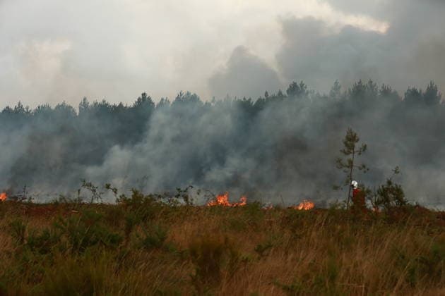 Wildfire continues to spread in France’s Gironde department GIRONDE, FRANCE - JULY 26: Firefighting operations continue as a major wildfire spreads across forest areas near Audenge in the Gironde department of southwestern France on July 26, 2026. Mohamad Salaheldin Abdelghani Alsayed Anadolu Gironde France. Editorial use only. Please get in touch for any other usage.  Copyright: x2026xAnadoluxMohamadxSalaheldinxAbdelghanixAlsayedx