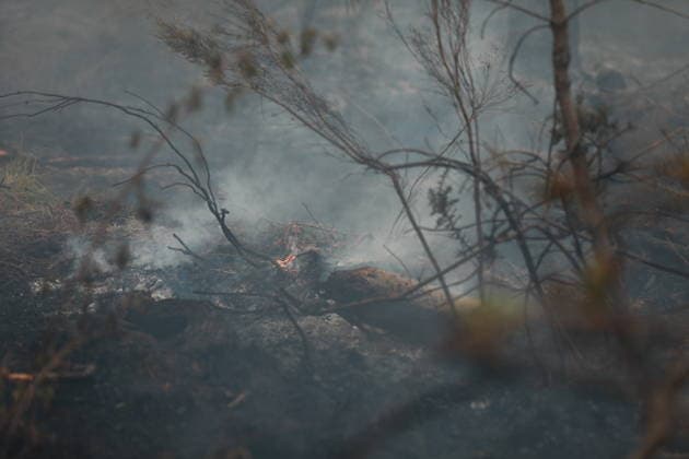 Wildfire continues to spread in France’s Gironde department GIRONDE, FRANCE - JULY 26: Firefighting operations continue as a major wildfire spreads across forest areas near Audenge in the Gironde department of southwestern France on July 26, 2026. Mohamad Salaheldin Abdelghani Alsayed Anadolu Gironde France. Editorial use only. Please get in touch for any other usage.  Copyright: x2026xAnadoluxMohamadxSalaheldinxAbdelghanixAlsayedx