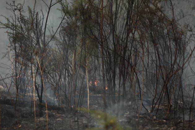 Wildfire continues to spread in France’s Gironde department GIRONDE, FRANCE - JULY 26: Firefighting operations continue as a major wildfire spreads across forest areas near Audenge in the Gironde department of southwestern France on July 26, 2026. Mohamad Salaheldin Abdelghani Alsayed Anadolu Gironde France. Editorial use only. Please get in touch for any other usage.  Copyright: x2026xAnadoluxMohamadxSalaheldinxAbdelghanixAlsayedx