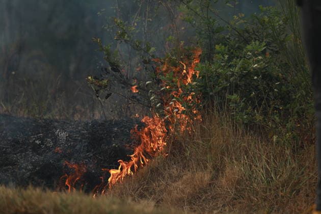 Wildfire continues to spread in France’s Gironde department GIRONDE, FRANCE - JULY 26: Firefighting operations continue as a major wildfire spreads across forest areas near Audenge in the Gironde department of southwestern France on July 26, 2026. Mohamad Salaheldin Abdelghani Alsayed Anadolu Gironde France. Editorial use only. Please get in touch for any other usage.  Copyright: x2026xAnadoluxMohamadxSalaheldinxAbdelghanixAlsayedx