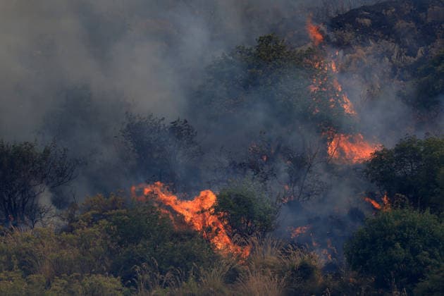 Firefighters battle wildfire near Italy s Palermo PALERMO, ITALY - JULY 26: Firefighter crews launched an aerial and ground response to contain a wildfire that broke out in scrubland near Torretta, outside Palermo on the island of Sicily, Italy on July 26, 2026. Fire engines and two firefighting aircraft were deployed as the blaze threatened nearby residential areas. Alberto Lo Bianco Anadolu Sicily Italy. Editorial use only. Please get in touch for any other usage.  Copyright: x2026xAnadoluxAlbertoxLoxBiancox