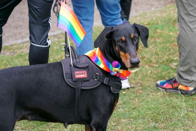 CNTV AMOKLAUF- Mahnwache anlässlich des CSD Anschlages in Berlin Hamburg Neuer Jungfernstieg 26.07.2026 Ca. 800 Menschen nahmen heute nachmittag am Ufer der Binnenalster am neuen Jungfernstieg an einer Mahnwache für die Opfer des Anschalges beim CSD in Berlin teil. Die Veranstaltung wurde von einem groessren Polizeiaufgebot geschuetzt Hamburg Deutschland *** CNTV AMOKLAUF Vigil in Memory of the CSD Attack in Berlin Hamburg Neuer Jungfernstieg July 26, 2026 Approximately 800 people gathered this afternoon on the banks of the Binnenalster at Neuer Jungfernstieg for a vigil in memory of the victims of the attack at the CSD in Berlin. The event was protected by a large police presence. Hamburg, Germany