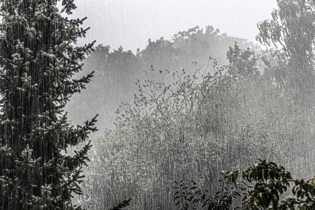 Starkregen im Sommer Ein plötzliches, kurzes Starkregenereignis prasselt mit voller Wucht auf Landschaft und Hausgärten Essen Nordrhein-Westfalen Deutschland *** Heavy Rain in Summer: A sudden, brief downpour lashes the countryside and home gardens with full force in Essen, North Rhine-Westphalia, Germany