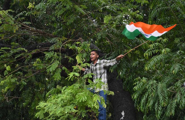 Celebrations after the resignation of Union Education Minister Dharmendra Pradhan in Mumbai, India - 26 Jul 2026 A young man seen standing on a tree branch as he waves the Indian national flag during the celebration held after the resignation of Union Education Minister Dharmendra Pradhan. Youth led Cockroach Janata Party (CJP) protest which lasted for 36 days concluded on July 25 2026 after the government accepted the key demands put forth by leaders of Cockroach Janata Party (CJP) alongside resignation of Union Education Minister Dharmendra Pradhan in alleged paper leaks and irregularities found in major national medical entrance examinations. Mumbai India Copyright: xAshishxVaishnavx xSOPAxImagesx AVaishnav_Celebration after resignation of Union Education Minister Dharmendra Pradhan in Mumbai(8)