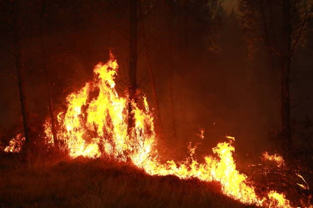 Firefighting operation continues as wildfire burns in Saint-Jean-d Illac, France SAINT-JEAN-D ILLAC, FRANCE - JULY 26: Firefighting operations continue as a wildfire burns near Saint-Jean-d Illac in southwestern France on July 26, 2026. Fire engines, heavy machinery and a firefighting helicopter are deployed to contain the blaze, while firefighters battle the fire on the ground. French Interior Minister Laurent Nunez warns that the situation remains highly unfavorable. Mohamad Salaheldin Abdelghani Alsayed Anadolu Saint-Jean-d Illac France. Editorial use only. Please get in touch for any other usage.  Copyright: x2026xAnadoluxMohamadxSalaheldinxAbdelghanixAlsayedx