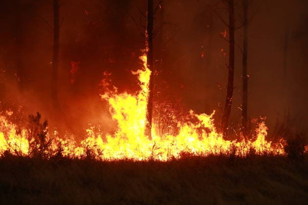 Firefighting operation continues as wildfire burns in Saint-Jean-d Illac, France SAINT-JEAN-D ILLAC, FRANCE - JULY 26: Firefighting operations continue as a wildfire burns near Saint-Jean-d Illac in southwestern France on July 26, 2026. Fire engines, heavy machinery and a firefighting helicopter are deployed to contain the blaze, while firefighters battle the fire on the ground. French Interior Minister Laurent Nunez warns that the situation remains highly unfavorable. Mohamad Salaheldin Abdelghani Alsayed Anadolu Saint-Jean-d Illac France. Editorial use only. Please get in touch for any other usage.  Copyright: x2026xAnadoluxMohamadxSalaheldinxAbdelghanixAlsayedx
