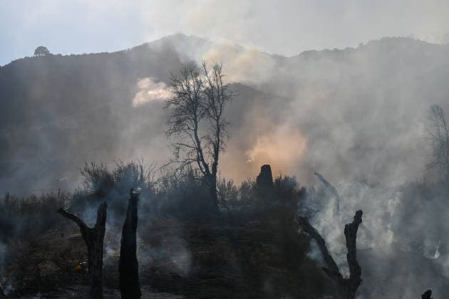 Mines Fire of wildfire continues in Santa Clara County of California SANTA CLARA COUNTY, CALIFORNIA - JULY 26: A view of burning area as crews battle with wildfire named as Mines Fire in Santa Clara County, California on July 26, 2026. Tayfun Coskun Anadolu California United States. Editorial use only. Please get in touch for any other usage.  Copyright: x2026xAnadoluxTayfunxCoskunx