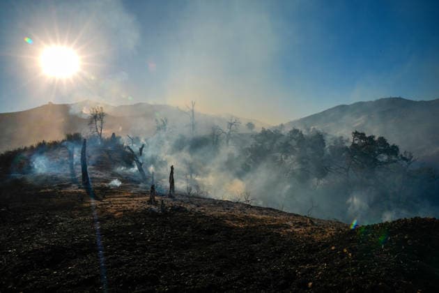 Mines Fire of wildfire continues in Santa Clara County of California SANTA CLARA COUNTY, CALIFORNIA - JULY 26: A view of burning area as crews battle with wildfire named as Mines Fire in Santa Clara County, California on July 26, 2026. Tayfun Coskun Anadolu California United States. Editorial use only. Please get in touch for any other usage.  Copyright: x2026xAnadoluxTayfunxCoskunx