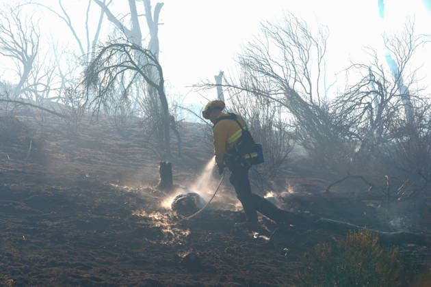 Mines Fire of wildfire continues in Santa Clara County of California SANTA CLARA COUNTY, CALIFORNIA - JULY 26: A firefighter is in action at a burning area as crews battle with wildfire named as Mines Fire in Santa Clara County, California on July 26, 2026. Tayfun Coskun Anadolu California United States. Editorial use only. Please get in touch for any other usage.  Copyright: x2026xAnadoluxTayfunxCoskunx