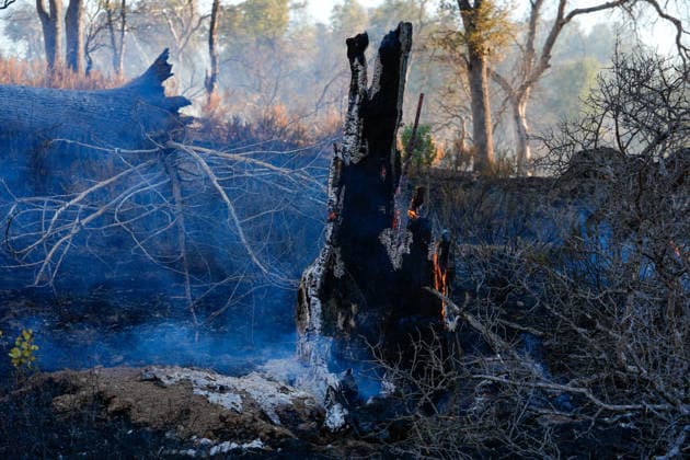 Mines Fire of wildfire continues in Santa Clara County of California SANTA CLARA COUNTY, CALIFORNIA - JULY 26: A view of burning area as crews battle with wildfire named as Mines Fire in Santa Clara County, California on July 26, 2026. Tayfun Coskun Anadolu California United States. Editorial use only. Please get in touch for any other usage.  Copyright: x2026xAnadoluxTayfunxCoskunx