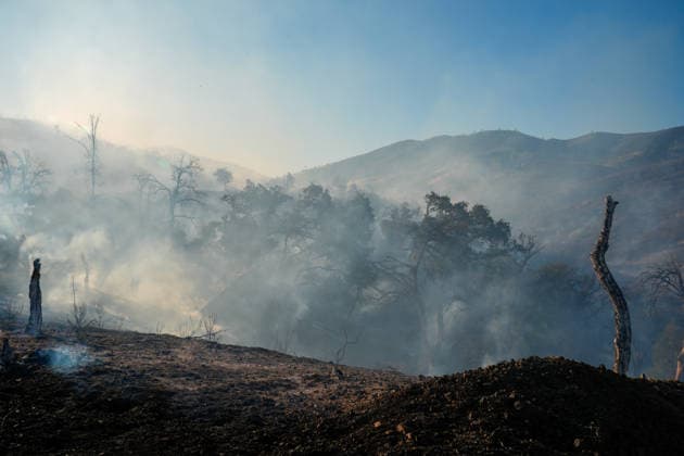 Mines Fire of wildfire continues in Santa Clara County of California SANTA CLARA COUNTY, CALIFORNIA - JULY 26: A view of burning area as crews battle with wildfire named as Mines Fire in Santa Clara County, California on July 26, 2026. Tayfun Coskun Anadolu California United States. Editorial use only. Please get in touch for any other usage.  Copyright: x2026xAnadoluxTayfunxCoskunx