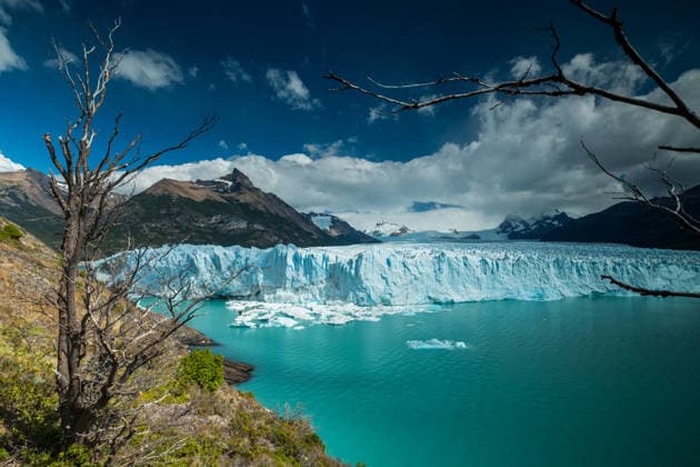 Creative Highlights World Dramatic glacial landscape with aqua lake and stark tree branches El Calafate, Santa Cruz Province, Argentina CR_YECJHG260723A-2087958-01 ,model released, Symbolfoto ,property released