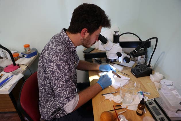 Gold amulet, ancient seal unearthed at Turkmen Karahoyuk excavation in Turkiye s Konya KONYA, TURKIYE - JULY 26: An archaeologist examines an artifact under a microscope at the Turkmen Karahoyuk archaeological site in the Cumra district of Konya, Turkiye, on July 26, 2026. Archaeologists conducting excavations at the ancient settlement recently uncovered a 3,500-year-old seal inscribed with Luwian hieroglyphs and a gold amulet dating to the Roman period, along with various other artifacts. Serhat Cetinkaya Anadolu Konya Turkey. Editorial use only. Please get in touch for any other usage.  Copyright: x2026xAnadoluxSerhatxCetinkayax