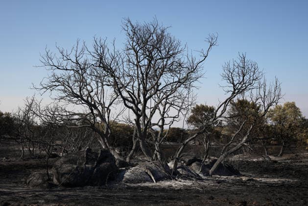 The wildfire in Madrid’s Sierra Oeste slowed its spread overnight, though it has not yet been brought under control. Burned area, as of July 27, 2026, in Chapinería, Madrid, Spain. The wildfires affecting the Community of Madrid have slowed their spread overnight, a development that has allowed firefighting crews to tackle the various hotspots; however, the fire remains active and uncontrolled, and there are concerns that wind gusts of up to 30 kilometers per hour forecast for today will complicate firefighting efforts on July 27, 2026. Alejandro Martínez Vé, Madrid, Madrid, Spain  Copyright: xAlejandroxMartinezxVÃ lezx 7689264