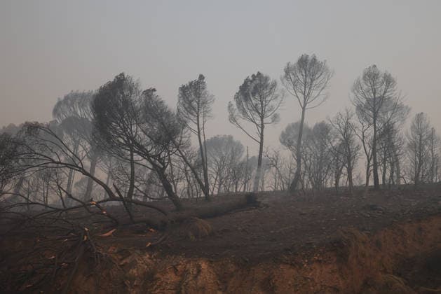 The wildfire in Madrid’s Sierra Oeste slowed its spread overnight, though it has not yet been brought under control. View of the smoke from the wildfire, July 27, 2026, in Navas del Rey, Madrid, Spain. The wildfires affecting the Community of Madrid have slowed their spread overnight, a development that has allowed firefighting crews to tackle the various hotspots; however, the fire remains active and uncontrolled, and there are concerns that wind gusts of up to 30 kilometers per hour forecast for today will complicate firefighting efforts on July 27, 2026. Alejandro Martínez Vé, Madrid, Madrid, Spain  Copyright: xAlejandroxMartinezxVÃ lezx 7689269