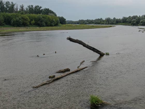 Poland s San River with low water levels as drought intensifies STALOWA WOLA, POLAND- JULY 27: A view of San River with low water levels due to the ongoing drought in Poland in Stalowa Wola, Poland on July 27, 2026. Currently, low water levels have been recorded at 66 percent of Poland’s hydrological stations. Warnings over worsening dry conditions were issued earlier in July, when Poland’s national weather agency said hydrological drought had spread across much of the country. Officials reported falling river levels, reduced groundwater supplies and more monitoring stations recording flows below long-term minimum thresholds. At the end of this week, a heatwave is predicted with temperatures to raise above 35 Celsius degrees. Omar Marques  Copyright: x2026xAnadoluxOmarxMarquesx