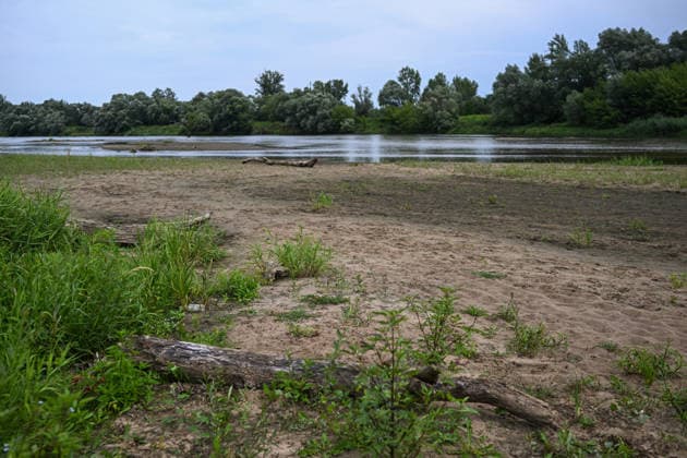Poland s San River with low water levels as drought intensifies STALOWA WOLA, POLAND- JULY 27: A view of San River with low water levels due to the ongoing drought in Poland in Stalowa Wola, Poland on July 27, 2026. Currently, low water levels have been recorded at 66 percent of Poland’s hydrological stations. Warnings over worsening dry conditions were issued earlier in July, when Poland’s national weather agency said hydrological drought had spread across much of the country. Officials reported falling river levels, reduced groundwater supplies and more monitoring stations recording flows below long-term minimum thresholds. At the end of this week, a heatwave is predicted with temperatures to raise above 35 Celsius degrees. Omar Marques  Copyright: x2026xAnadoluxOmarxMarquesx