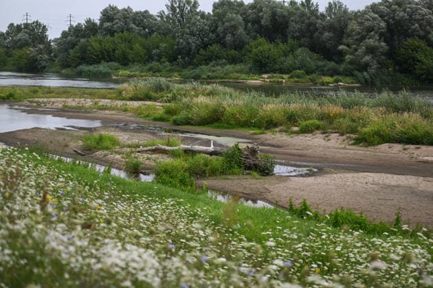 Poland s San River with low water levels as drought intensifies STALOWA WOLA, POLAND- JULY 27: A view of San River with low water levels due to the ongoing drought in Poland in Stalowa Wola, Poland on July 27, 2026. Currently, low water levels have been recorded at 66 percent of Poland’s hydrological stations. Warnings over worsening dry conditions were issued earlier in July, when Poland’s national weather agency said hydrological drought had spread across much of the country. Officials reported falling river levels, reduced groundwater supplies and more monitoring stations recording flows below long-term minimum thresholds. At the end of this week, a heatwave is predicted with temperatures to raise above 35 Celsius degrees. Omar Marques  Copyright: x2026xAnadoluxOmarxMarquesx