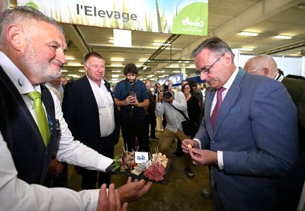 Bart De Wever visits the Libramont Agricultural Fair 2026 LIBRAMONT, BELGIUM - JULY 27 : PM Bart De Wever (N-VA) visits the Libramont Agricultural Fair 2026 ( lunch at the Fair, organised by AKT and reserved for 200 Belgian and Luxembourg CEO s and visit with Christophe Hansen (European Commissioner for Agriculture)) on July 27, 2026 in Libramont, Belgium, 27 07 2026 Libramont Belgium  Copyright: xDidierxLebrunx