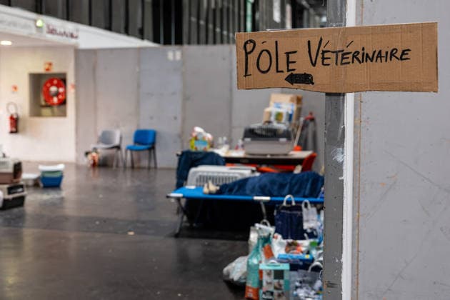 Residents and tourists who were evacuated are sleeping at the Bordeaux Exhibition Center (Parc des Expositions) following evacuations due to wildfires on July 27, 2026. Julien Miltenberger, Bestimage. Residents and tourists evacuated due to nearby wildfires have gathered at the Bordeaux Exhibition Center (Parc des Expositions), which was opened as an emergency reception center for displaced people in Bordeaux, France, on July 27, 2026, Bordeaux, France  Copyright: xJulienxMiltenbergerx xBestimagexJulienxMiltenbergerx xBestimagex