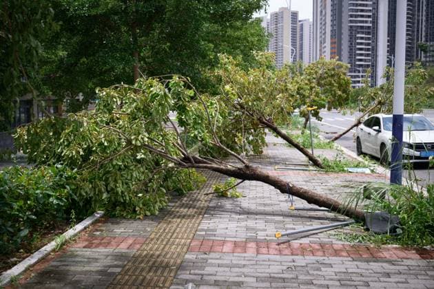 Typhoon Noul hits southern China HUIZHOU,CHINA - JULY 27: Trees collapsed in strong winds as the Typhoon Noul passes through on July 27,2026 in Huizhou, Guangdong Province of China. Typhoon Noul , the 12th typhoon of this year, brought heavy winds and torrential rains along the way, causing tree lodging, road ponding, and facilities damage. The residual circulation continued to create heavy rainfall in many inland places, and the risk of secondary disasters such as flash floods and landslides was still high. John Ricky Anadolu Guangdong China. Editorial use only. Please get in touch for any other usage.  Copyright: x2026xAnadoluxJohnxRickyx
