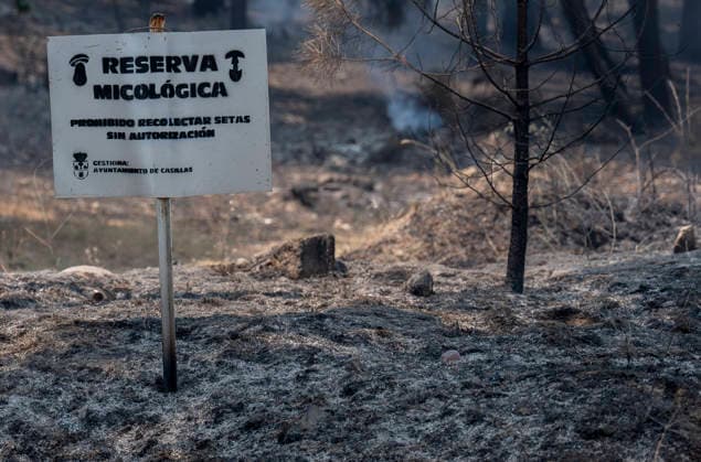 The fire in Ávila is now the largest in Spain’s history, having burned 55,000 hectares. Areas burned by the wildfire, as of July 27, 2026, in Casillas, Ávila, Castile and León, Spain. The Burgohondo forest fire in Ávila has burned 55,000 hectares, making it the largest fire on record in Spain. Currently, firefighting efforts are focused on two active zones of concern to firefighters: the Mijares Pass and the area surrounding the town of Casillas. JULY 27, 2026 Ávila, Castile and León, Spain  Copyright: xAlbertoxOrtegax 7690059