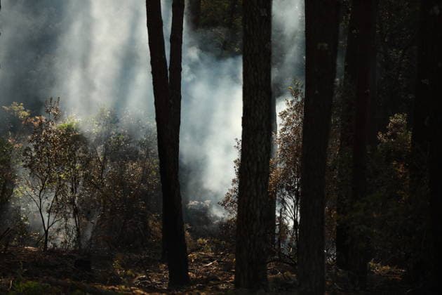 Massive wildfire burns 42,000 hectares in Gironde, southwestern France GIRONDE, FRANCE - JULY 27: A massive wildfire struck the Gironde department of southwestern France on July 27, 2026. As firefighters continued efforts to contain the flames, the wildfire caused widespread destruction across affected areas, where burned vehicles, damaged buildings, destroyed roads, and charred trees were visible. The blaze, which started in the Saumos area on Wednesday, has burned around 42,000 hectares, according to Gironde authorities. More than 220,000 people were evacuated as a precaution, while around 240 homes were fully or partially damaged. Around 2,500 firefighters, 1,500 soldiers and 1,200 security personnel are involved in the response as crews  Copyright: x2026xAnadoluxMohamadxSalaheldinxAbdelghanixAlsayedx